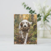 Engelse Setter, houtsnip jagen Briefkaart (Staand voorkant)