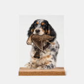 Engelse Setter, Houtsnip Jagen ,Hond Kunst Acryl Bord (Voorkant)