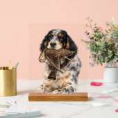 Engelse Setter, Houtsnip Jagen ,Hond Kunst Acryl Bord (Huwelijk)