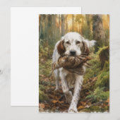Engelse Setter, houtsnip jagen Kaart (Voorkant / Achterkant)
