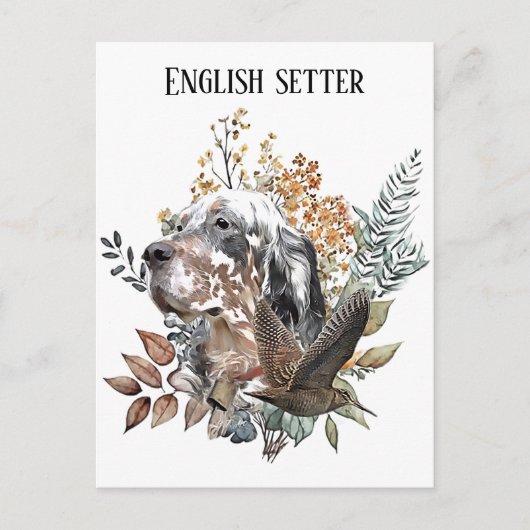 Engelse setter, Houtsnip jagen, Kunst Briefkaart (Voorkant)
