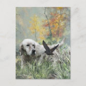 Engelse Setter, jachtseizoen voor houtsnippers, Ar Feestdagenkaart (Voorkant)