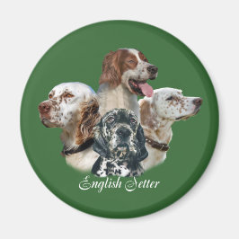 Engelse setter kan niet één magneet hebben