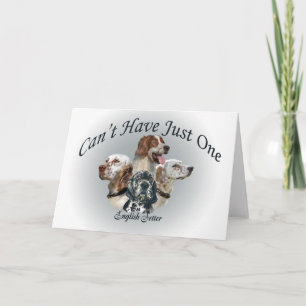 Engelse setter kan niet slechts één kaart hebben