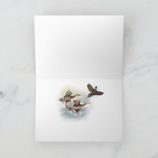 Engelse Setter kan niet slechts één Kaart hebben (Binnen)