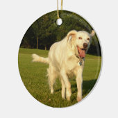 Engelse Setter Keramisch Ornament (Links)