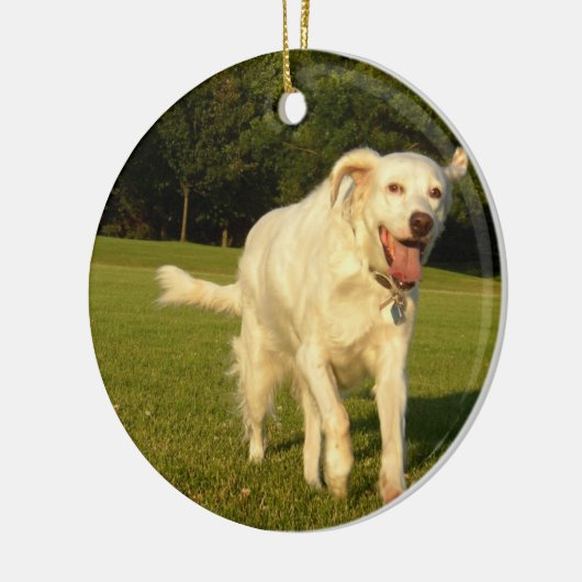 Engelse Setter Keramisch Ornament (Links)