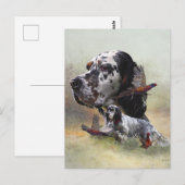 Engelse setter met fazanten, kunst briefkaart (Voorkant / Achterkant)
