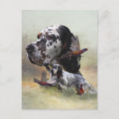 Engelse setter met fazanten, kunst briefkaart (Voorkant)