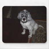 Engelse Setter Muismat (Voorkant)