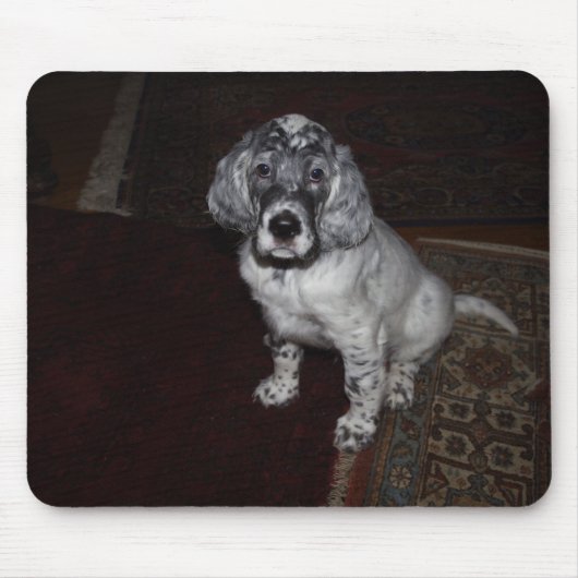 Engelse Setter Muismat (Voorkant)
