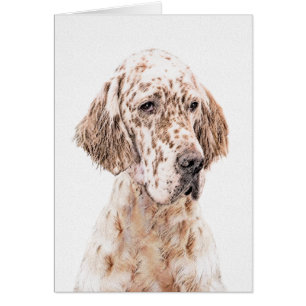 Engelse Setter Oranje Belton Painting Dog Art