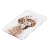 Engelse Setter Oranje Belton Painting Dog Art Magneet (Linkerzijde)