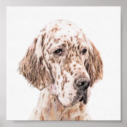 Engelse Setter Oranje Belton Painting Dog Art Poster (Voorkant)