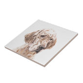 Engelse Setter Oranje Belton Painting Dog Art Tegeltje (Zijkant)