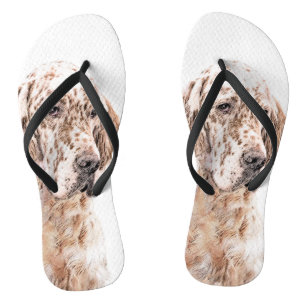 Engelse Setter Oranje Belton Schilderij Hond Kunst Teenslippers