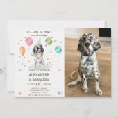 Engelse Setter Pawty Dog Puppy Verjaardag Blauw Fo Kaart (Voorkant)