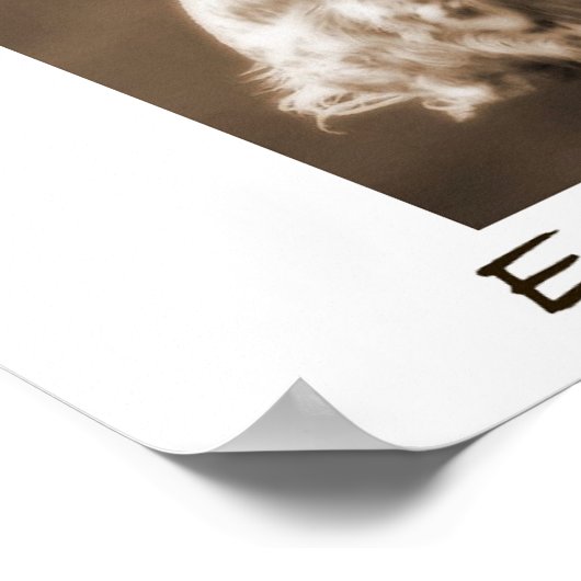 Engelse Setter Poster (Hoek)