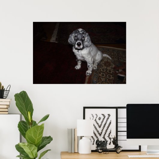 Engelse Setter Poster (Thuiskantoor)