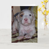 Engelse Setter Puppy Kaart (Gele Bloem)