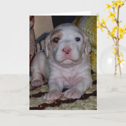 Engelse Setter Puppy Kaart (Gele Bloem)