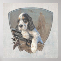 Engelse Setter puppy met een klassiek shotgun