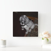 Engelse Setter Puppy Vierkante Klok (Huis)