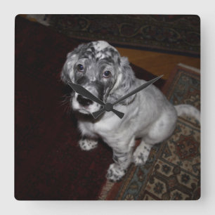 Engelse Setter Puppy Vierkante Klok