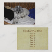 Engelse Setter Puppy Visitekaartje (Voorkant / Achterkant)