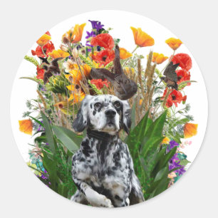 Engelse Setter Ronde Sticker