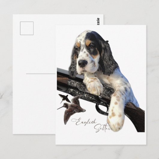 Engelse Setter, schattige puppy Briefkaart (Voorkant / Achterkant)