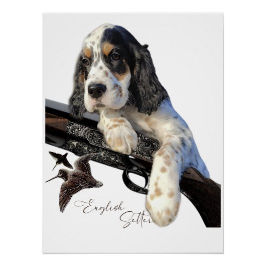 Engelse Setter, schattige puppy Perfect Poster (Voorkant)