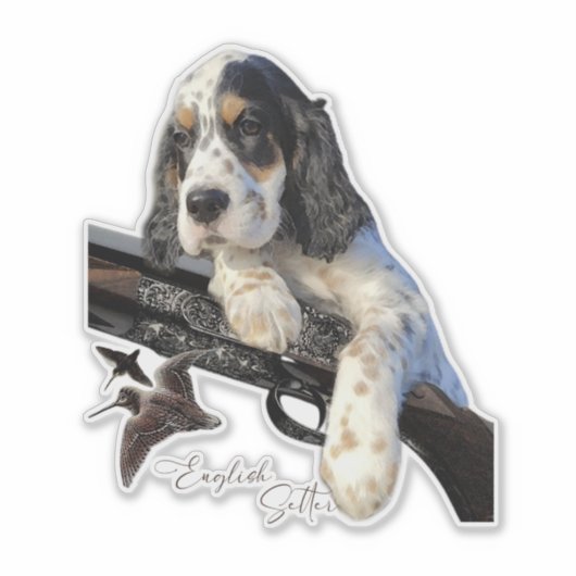 Engelse Setter, schattige puppy Sticker (Voorkant)