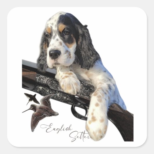 Engelse Setter, schattige puppy Vierkante Sticker (Voorkant)