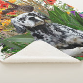 Engelse Setter Sherpa Deken (3/4)