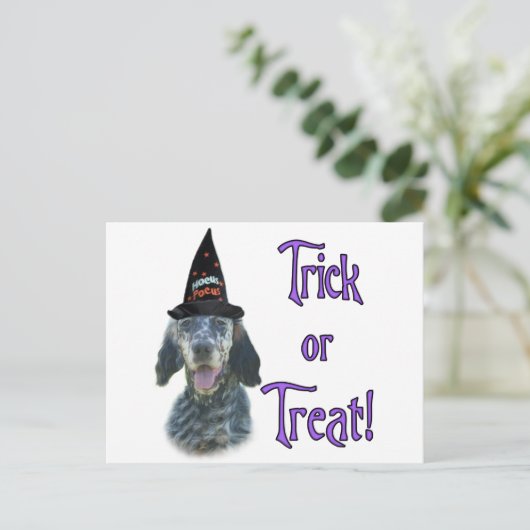 Engelse Setter Trick Briefkaart (Staand voorkant)