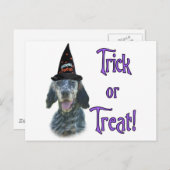 Engelse Setter Trick Briefkaart (Voorkant / Achterkant)