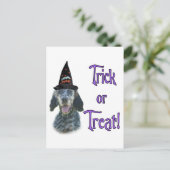 Engelse Setter Trick Briefkaart (Staand voorkant)