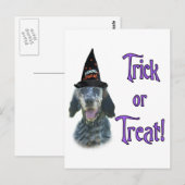 Engelse Setter Trick Briefkaart (Voorkant / Achterkant)