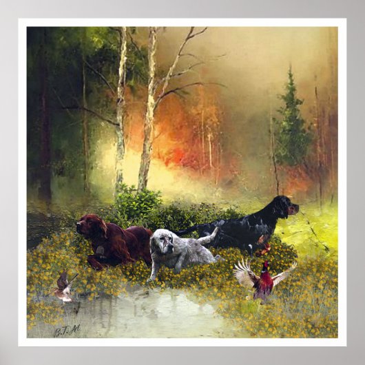 Engelse Setter, vogeljacht Poster (Voorkant)
