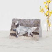 Engelse Setter-Wenskaarten Kaart (Gele Bloem)