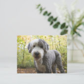 Engelse Sheepdog-puppy in het bos Briefkaart (Staand voorkant)