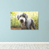 Engelse Sheepdog-puppy in het bos Canvas Afdruk (Insitu (Houten vloer))