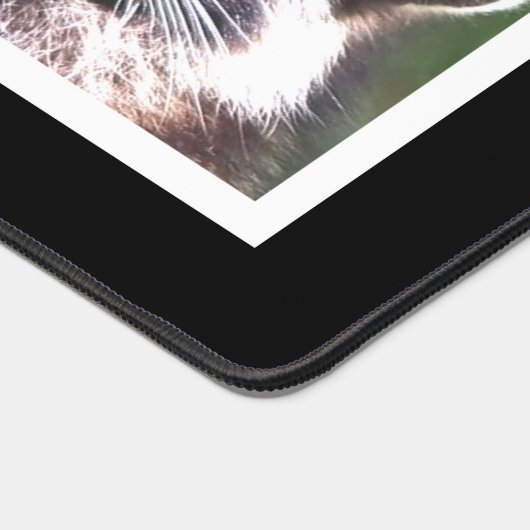 Engelse Spaniel Hond en Wasbeer Aangepaste Foto's Bureaumat (Hoek)