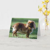 Engelse Speelgoed Spaniel Dog Blank Wenskaart Kaart (Gele Bloem)