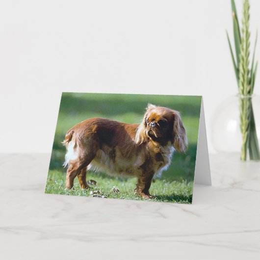Engelse Speelgoed Spaniel Dog Blank Wenskaart Kaart (Voorkant)