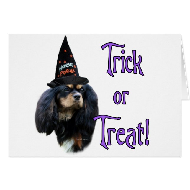 Engelse Speelgoed Spaniel Trick (Voorkant Horizontaal)