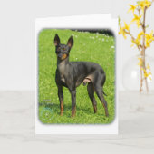 Engelse Speelgoed Terrier 9R78D-77 Kaart (Gele Bloem)