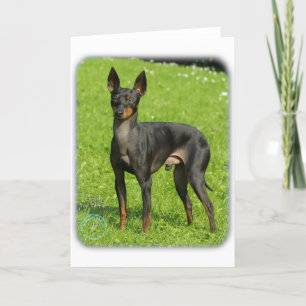 Engelse Speelgoed Terrier 9R78D-77 Kaart