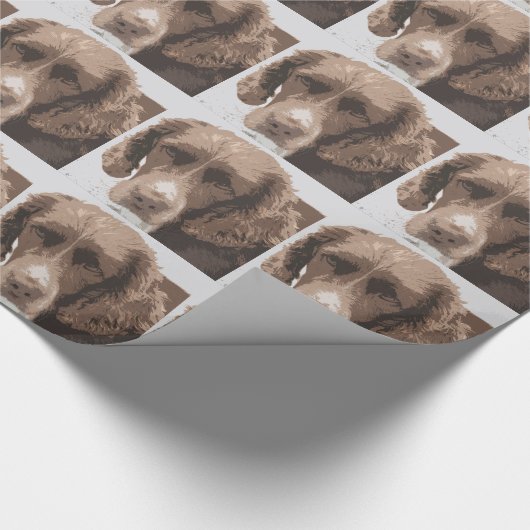 Engelse Springer Cadeaupapier (Hoek)